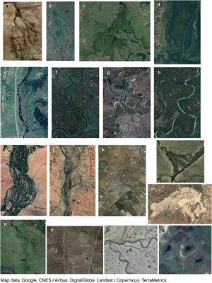 A Genetic Geomorphic Classification System for Southern African Palustrine Wetlands: Global Implications for the Management of Wetlands in Drylands